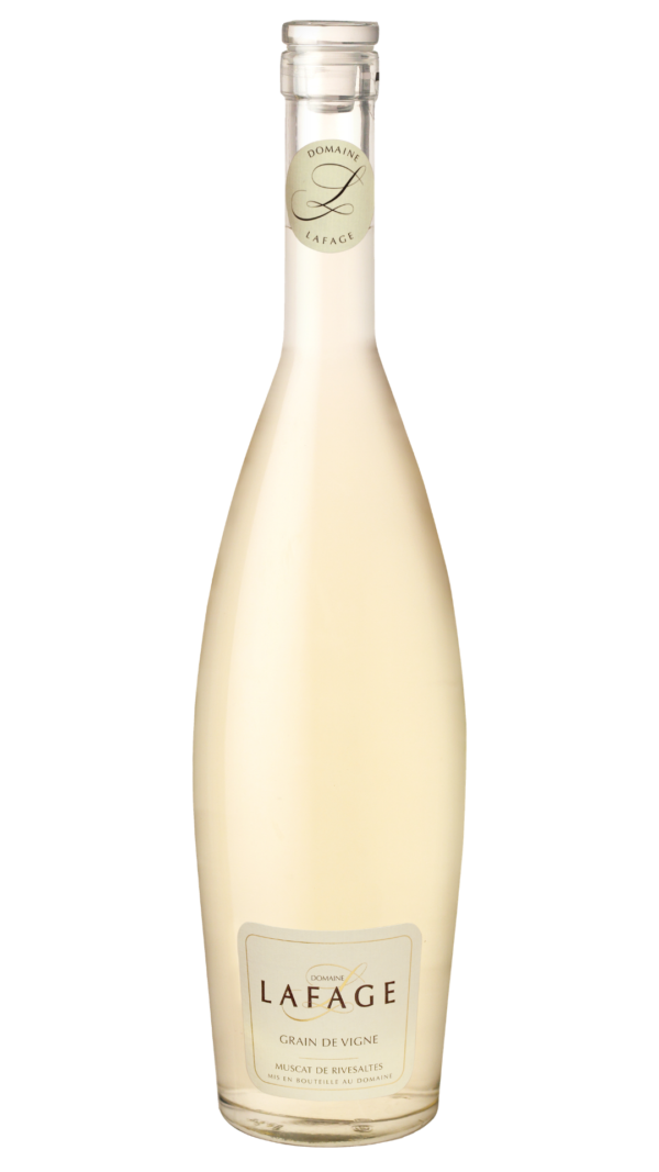 Grain de Vigne