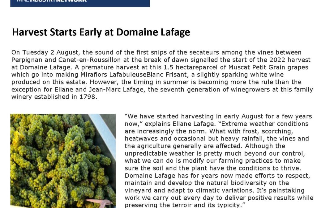 Art Wine Industry Advisor Early Harvest Domaine Lafage 04 08 22 351619 1080x675