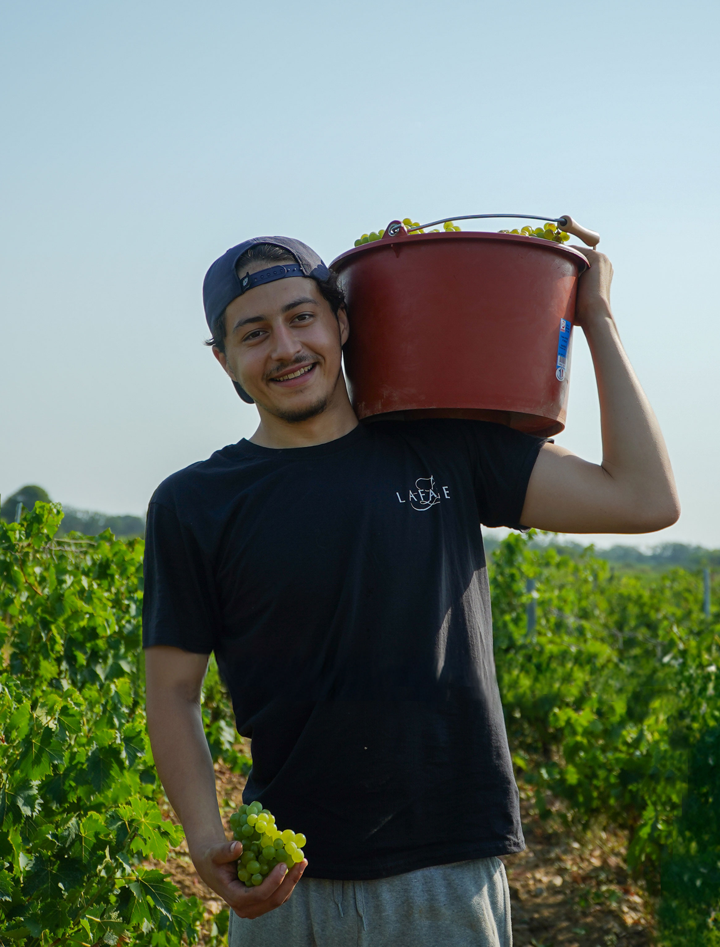 NICOLAS-VENDANGES